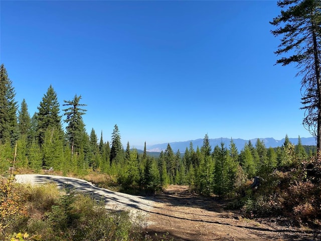 TR2 Roberts Creek Rd, Fortine, MT 59918