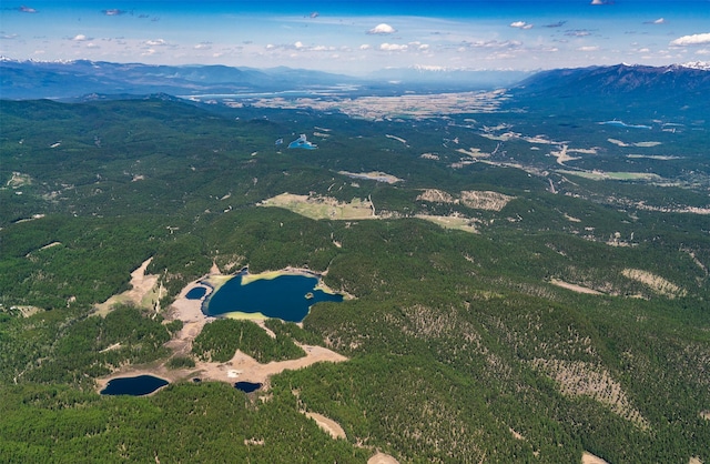 TR2 Roberts Creek Rd, Fortine, MT 59918
