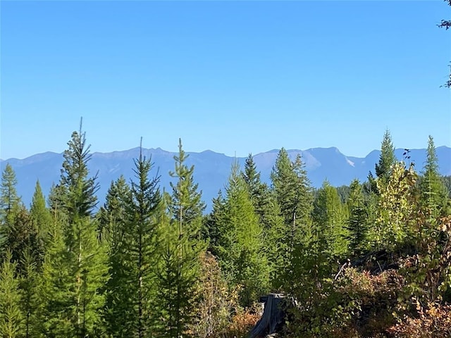 TR2 Roberts Creek Rd, Fortine, MT 59918