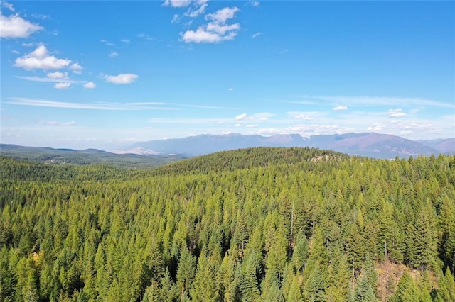 TR2 Roberts Creek Rd, Fortine, MT 59918