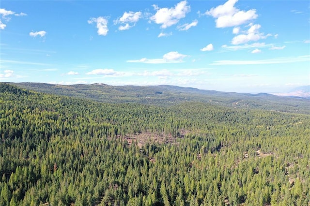TR2 Roberts Creek Rd, Fortine, MT 59918