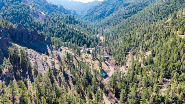 drone / aerial view with a view of trees and a mountain view