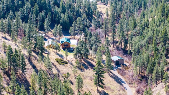 bird's eye view with a view of trees