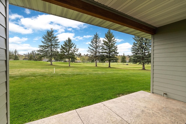 view of yard featuring a patio area