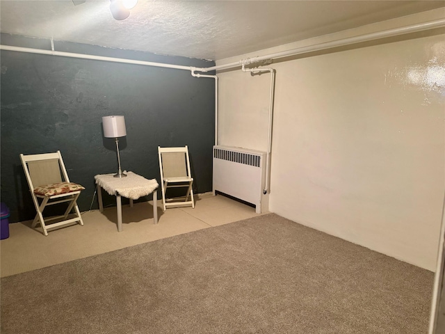 finished below grade area featuring carpet flooring, a textured ceiling, and radiator heating unit