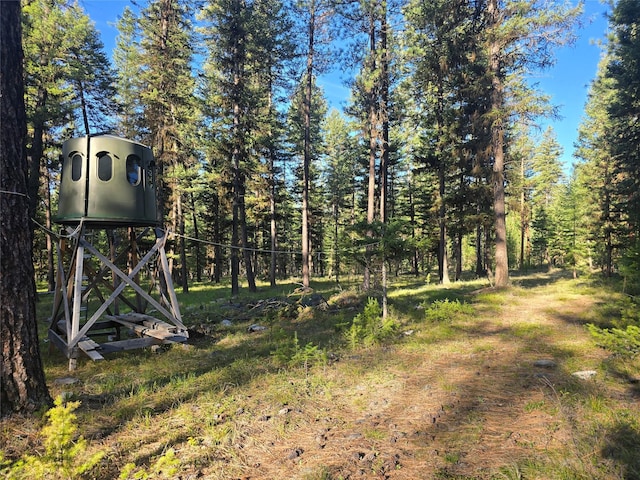 view of yard featuring a wooded view