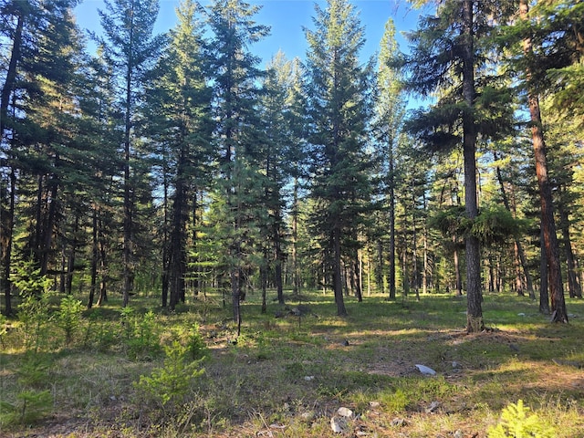 view of local wilderness with a view of trees