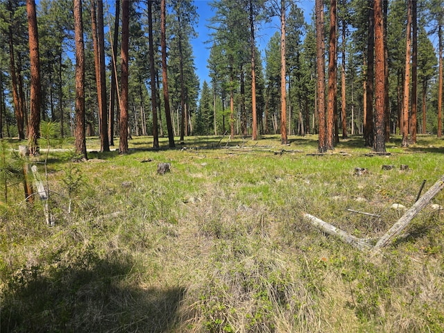 view of yard with a forest view