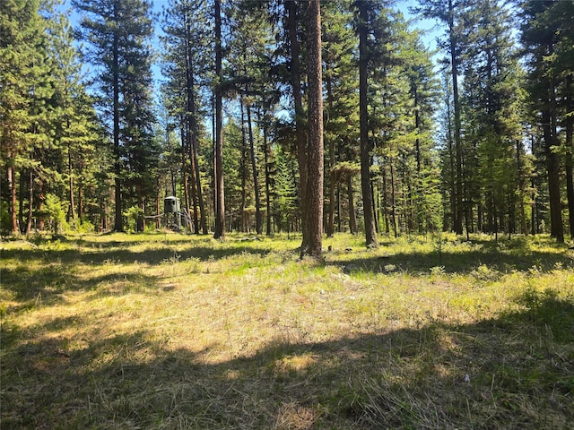 view of local wilderness featuring a wooded view