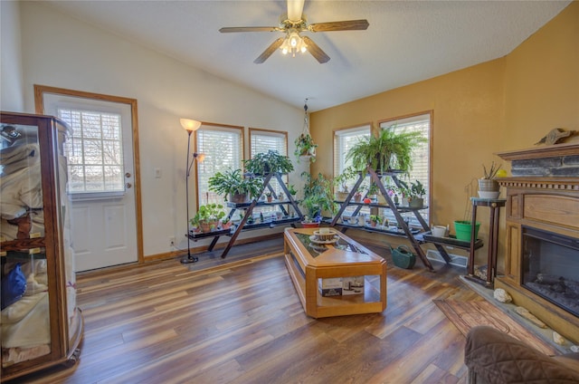 living room with a ceiling fan, vaulted ceiling, wood finished floors, and a wealth of natural light