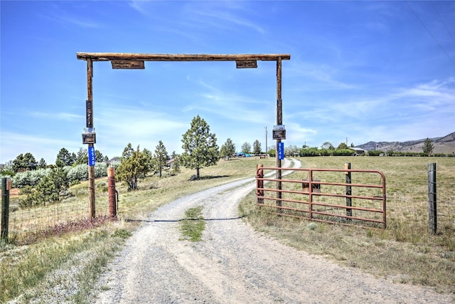 view of street featuring a rural view, driveway, and a gated entry
