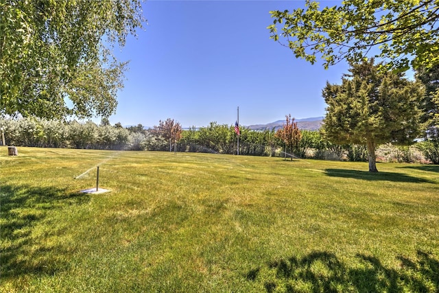 view of yard with a mountain view