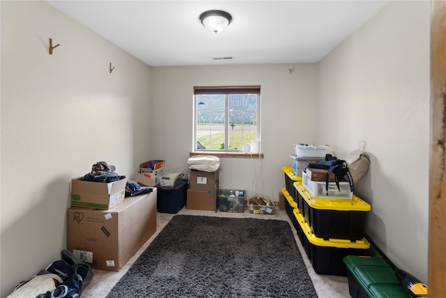 70 Moccasin Ln, Thompson Falls, MT 59873 - rec room with carpet flooring