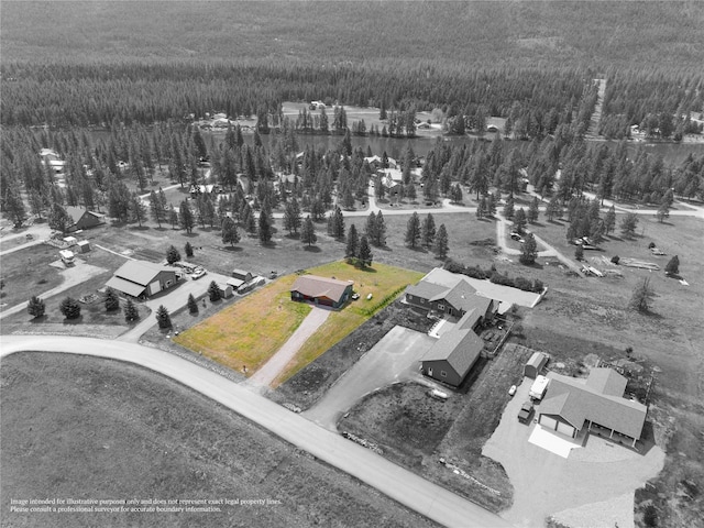70 Moccasin Ln, Thompson Falls, MT 59873 - drone / aerial view of a forest