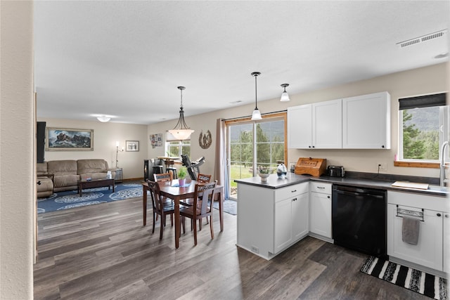70 Moccasin Ln, Thompson Falls, MT 59873 - kitchen with dishwasher, a sink, dark wood finished floors, open floor plan, and dark countertops
