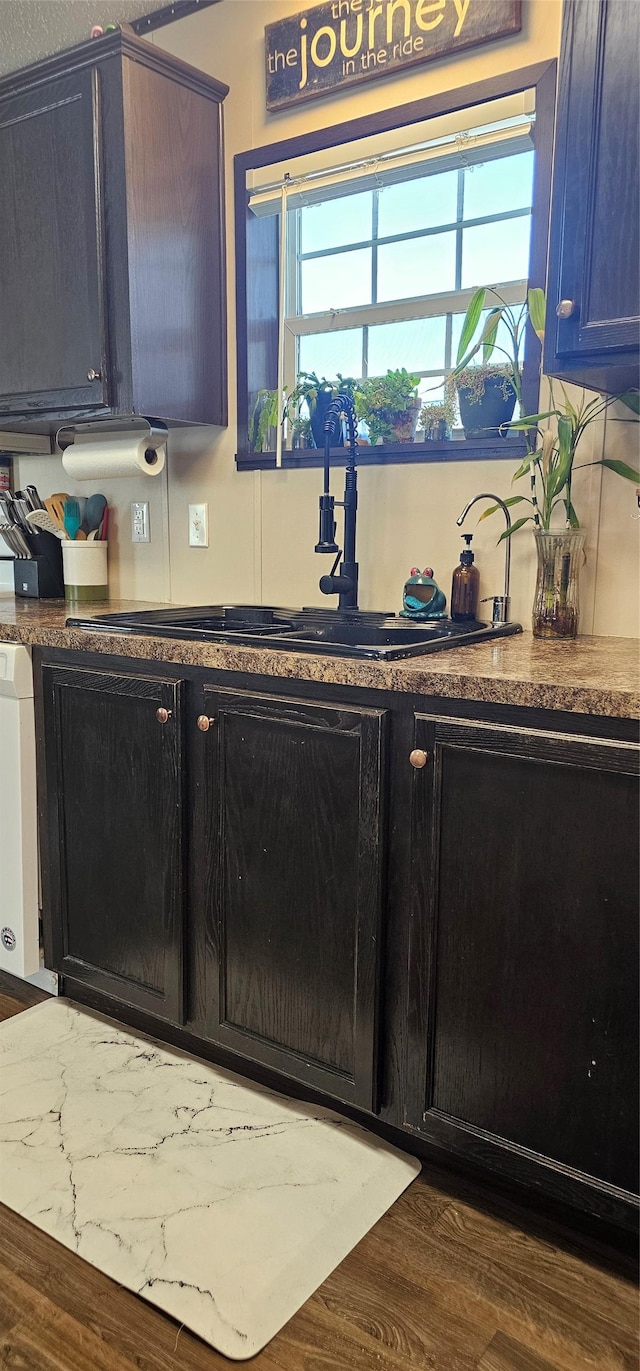 kitchen featuring dark cabinetry, dark countertops, a sink, and dark wood-type flooring