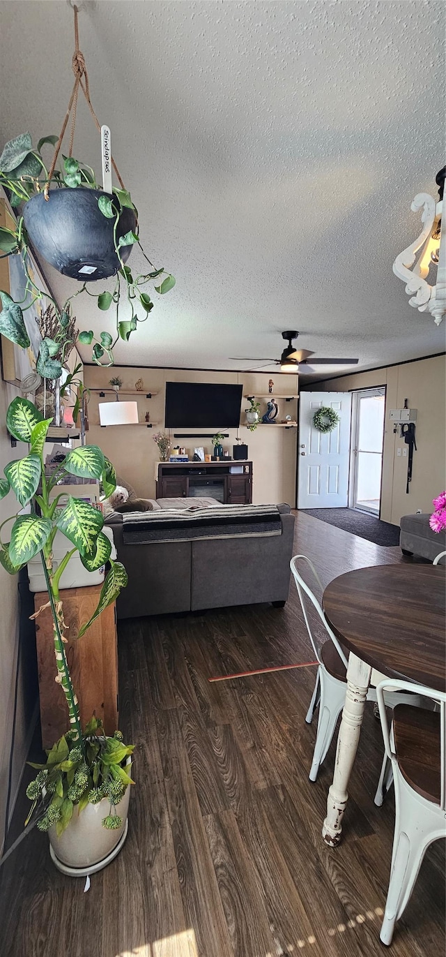 dining space with a ceiling fan, a textured ceiling, and dark wood-style flooring