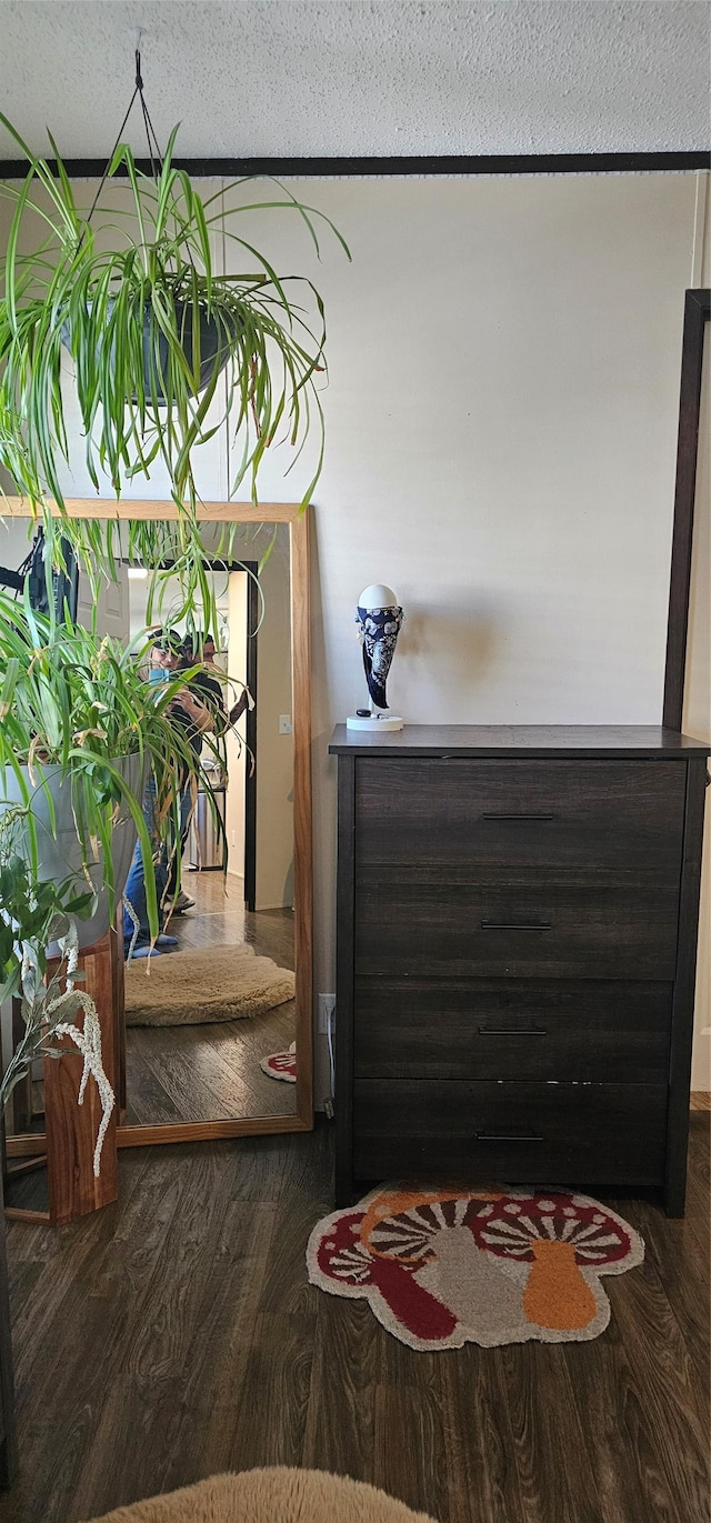 interior details featuring a textured ceiling and wood finished floors
