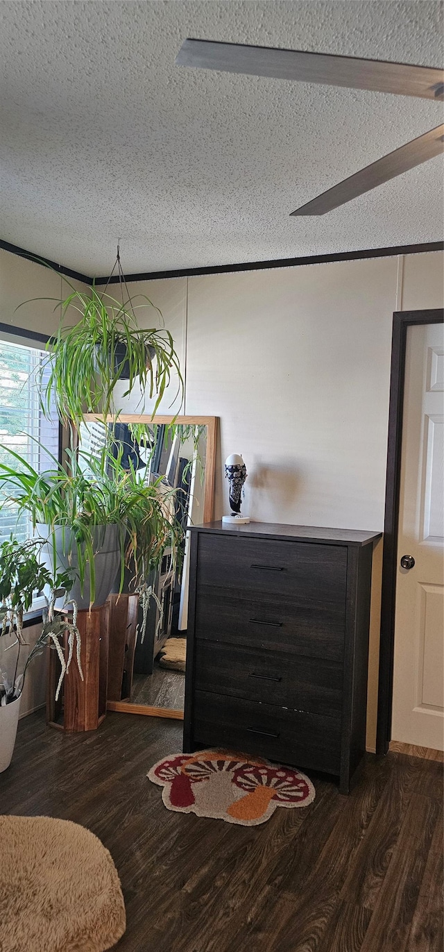interior space featuring a textured ceiling and wood finished floors
