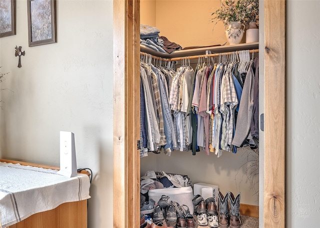 view of spacious closet