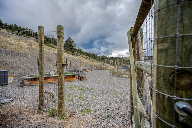 view of yard featuring fence and a vegetable garden