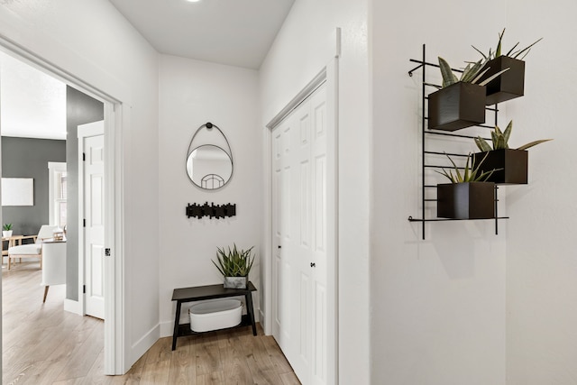 3201 12th St NE, Great Falls, MT 59404 - hall featuring light wood-style floors and baseboards