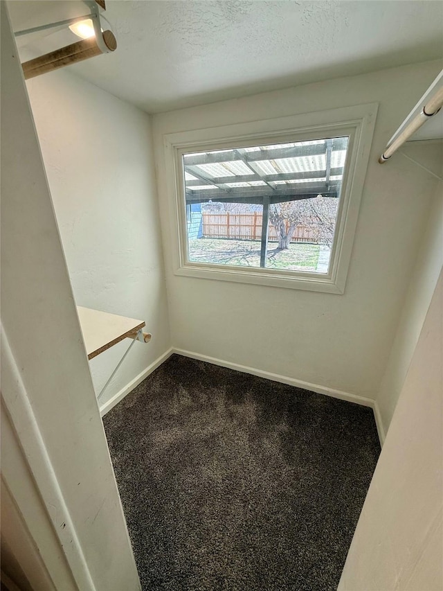 spacious closet featuring carpet floors