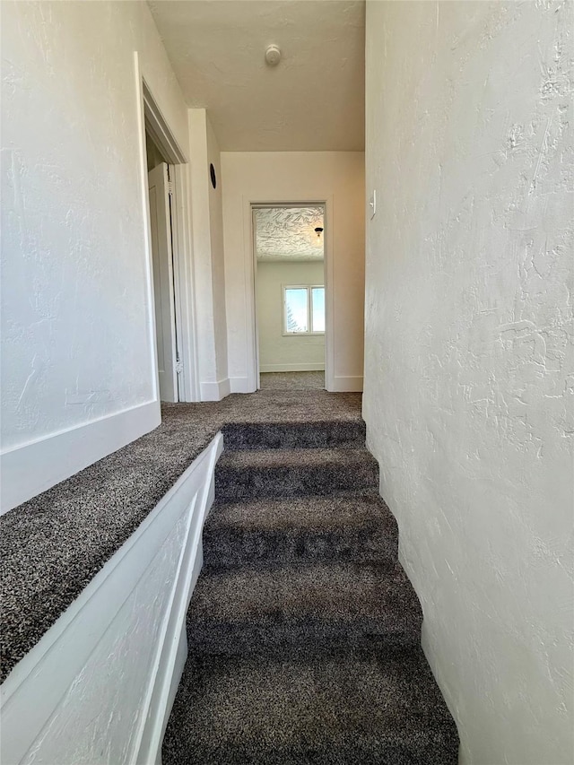 stairs featuring baseboards and carpet