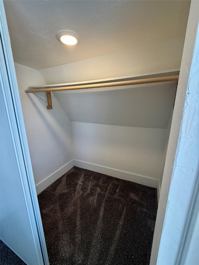 walk in closet featuring carpet floors and lofted ceiling