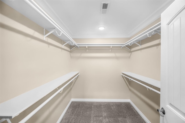 spacious closet with carpet and visible vents