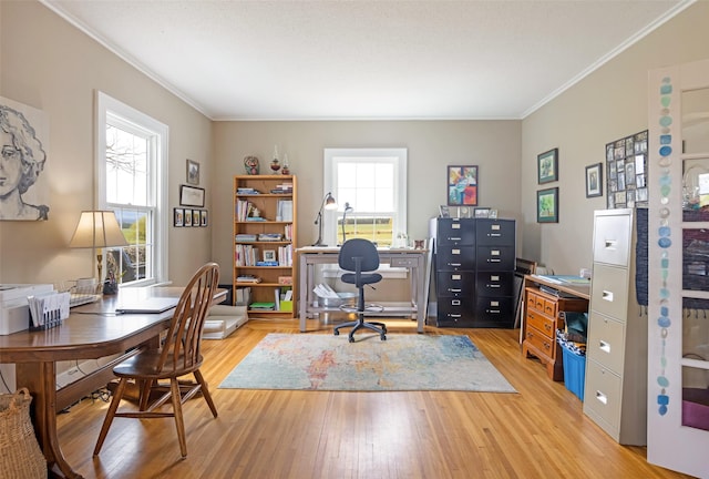 office space featuring crown molding and light wood-style floors