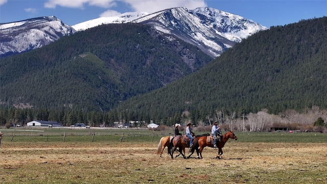 view of mountain feature with a rural view and a wooded view