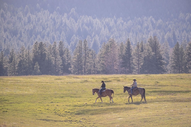view of property's community with a rural view and a forest view