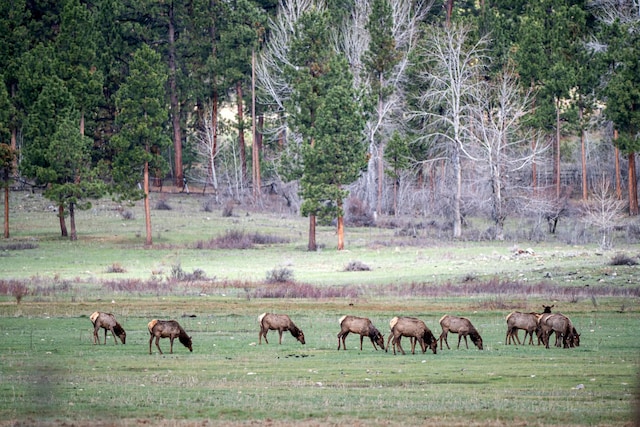 view of property's community with a rural view