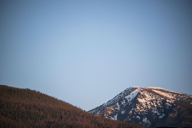 mountain view with a forest view