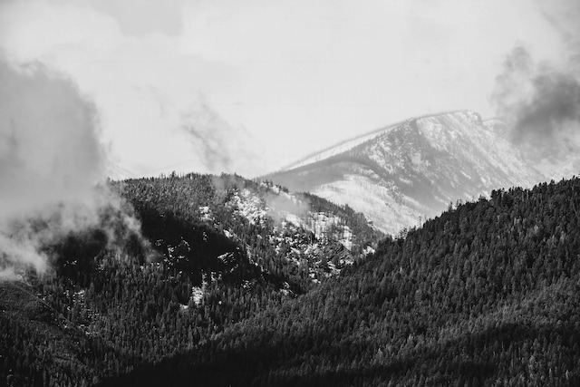 property view of mountains featuring a wooded view