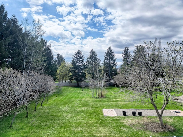 view of yard