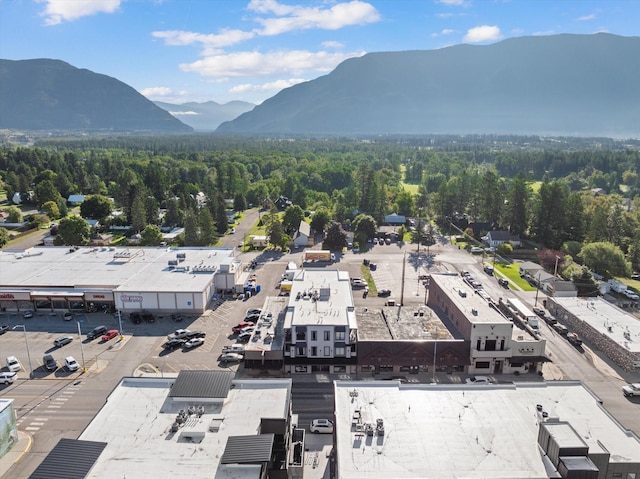 bird's eye view with a mountain view and a forest view