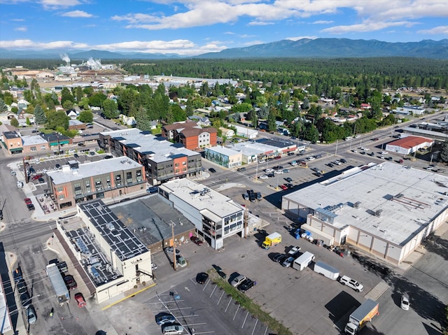 bird's eye view featuring a mountain view and a wooded view