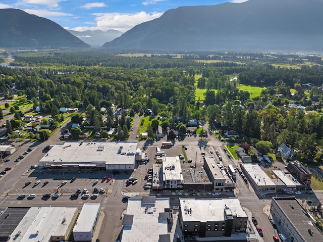 bird's eye view featuring a wooded view and a mountain view