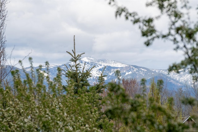 4100 Mullan Rd Unit 407, Missoula, MT 59808 - mountain view