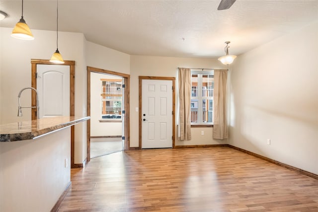 foyer with baseboards, a wealth of natural light, and wood finished floors