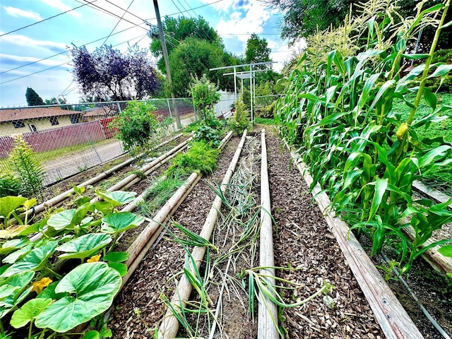 view of yard featuring fence and a garden