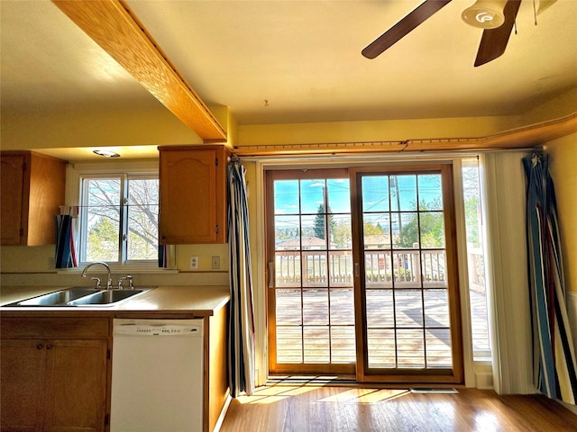 entryway featuring a sink, a ceiling fan, and light wood finished floors