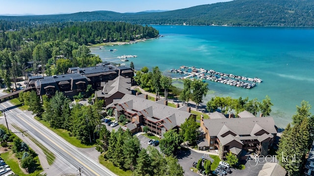 bird's eye view featuring a water and mountain view and a wooded view