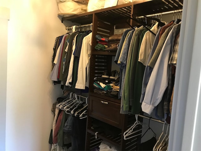 view of walk in closet