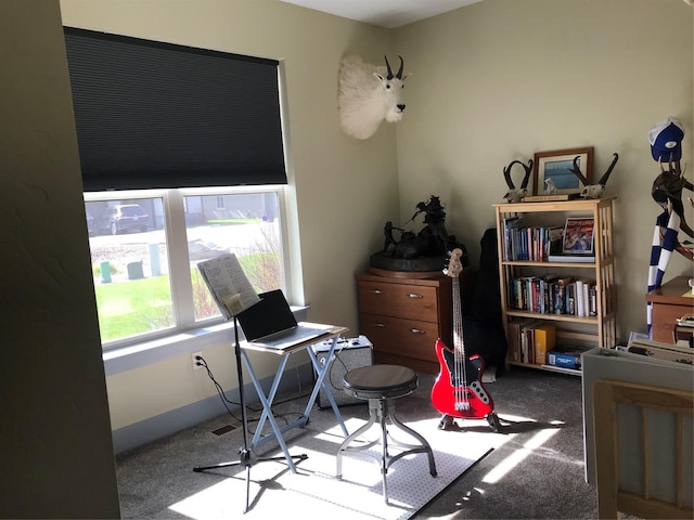office featuring carpet
