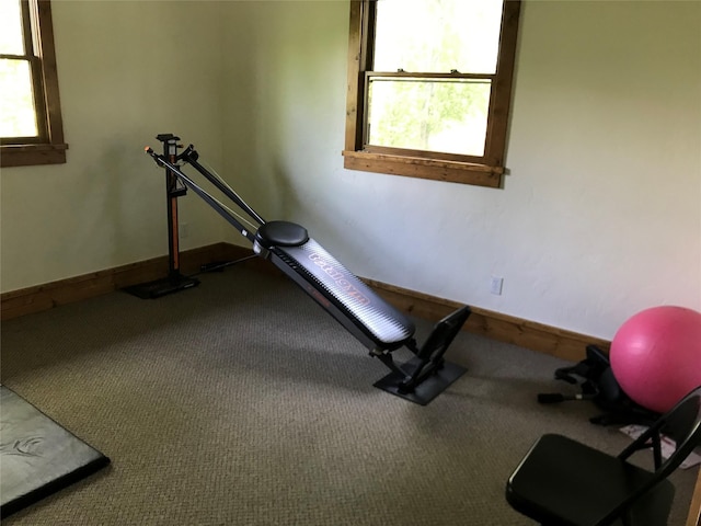 248 Forest Edge Trl, Kalispell, MT 59901 - workout room featuring carpet and baseboards