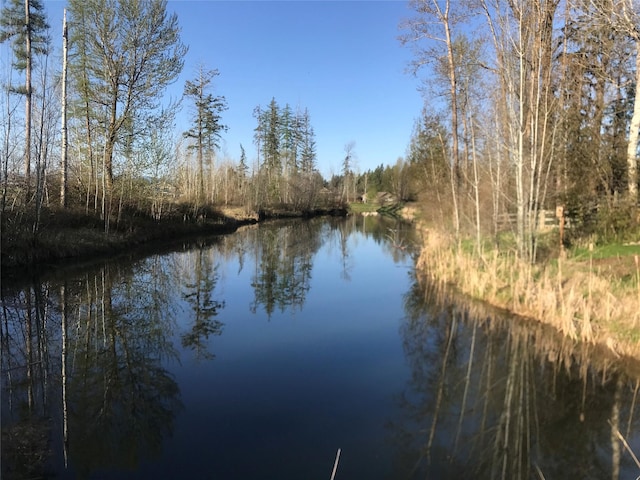 248 Forest Edge Trl, Kalispell, MT 59901 - water view with a forest