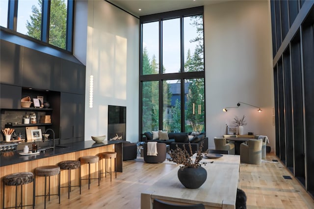 living area with a high ceiling, light wood-style flooring, expansive windows, and a wealth of natural light